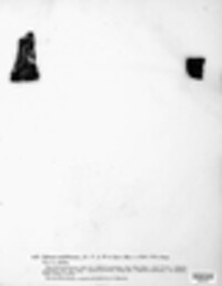 Jackrogersella multiformis image